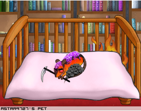 Dressed pet