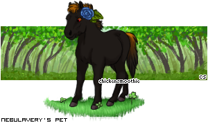 Dressed pet