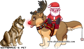 Dressed pet