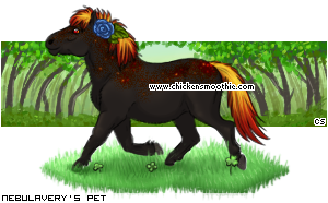 Dressed pet