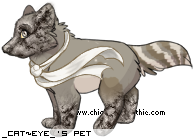 Dressed pet