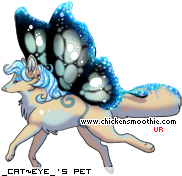 Dressed pet