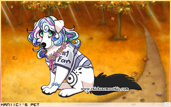 Dressed pet