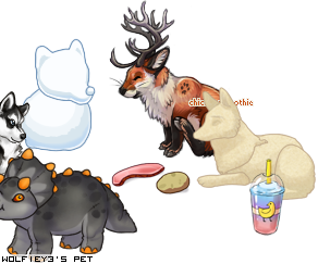 Dressed pet