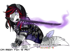 Dressed pet