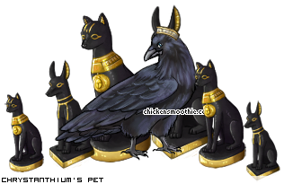 Dressed pet
