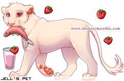 Dressed pet