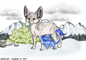 Dressed pet