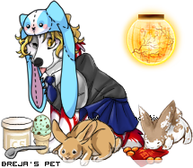Dressed pet