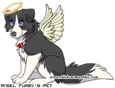 Dressed pet