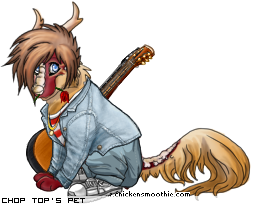 Dressed pet