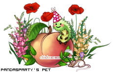 Dressed pet