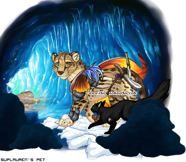 Dressed pet