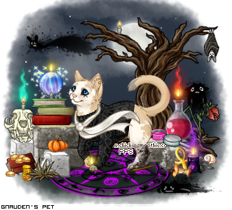 Dressed pet