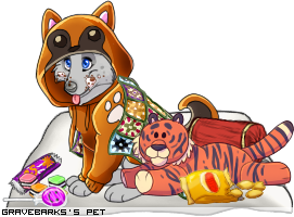 Dressed pet