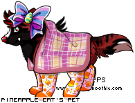 Dressed pet