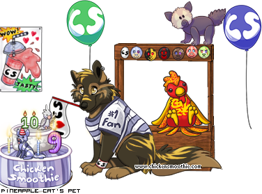 Dressed pet
