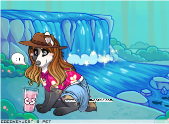 Dressed pet