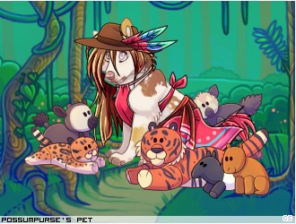 Dressed pet