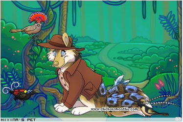 Dressed pet