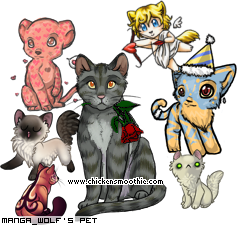 Dressed pet