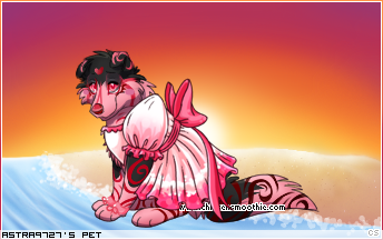 Dressed pet