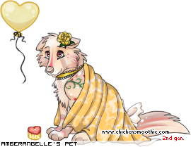 Dressed pet