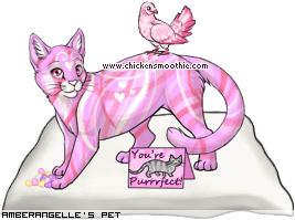 Dressed pet