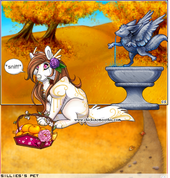 Dressed pet