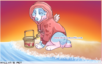 Dressed pet