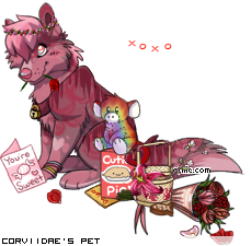 Dressed pet
