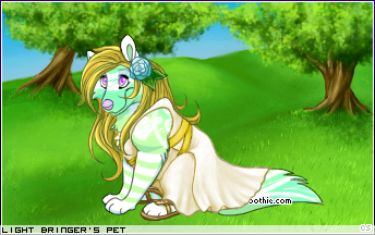 Dressed pet