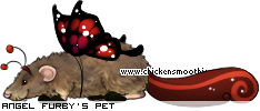 Dressed pet