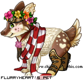 Dressed pet