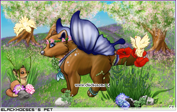 Dressed pet