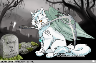 Dressed pet