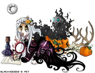 Dressed pet