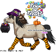 Dressed pet