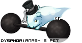 Dressed pet