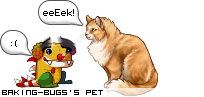 Dressed pet