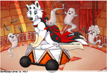 Dressed pet