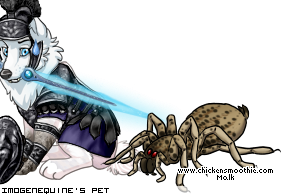Dressed pet