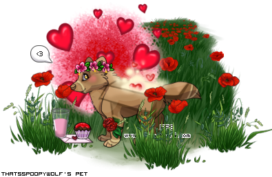 Dressed pet