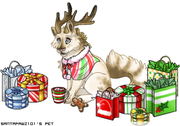 Dressed pet