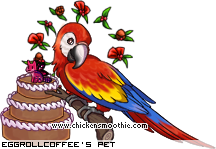 Dressed pet
