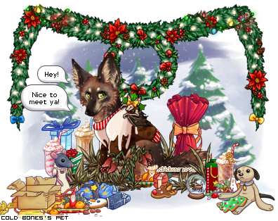 Dressed pet