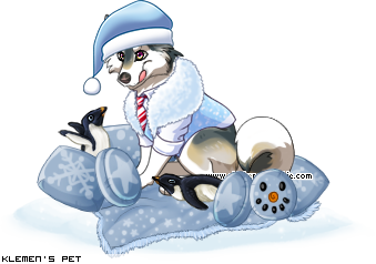 Dressed pet