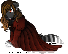 Dressed pet