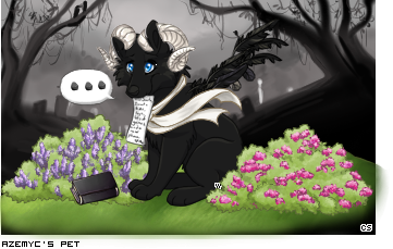 Dressed pet
