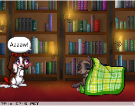 Dressed pet
